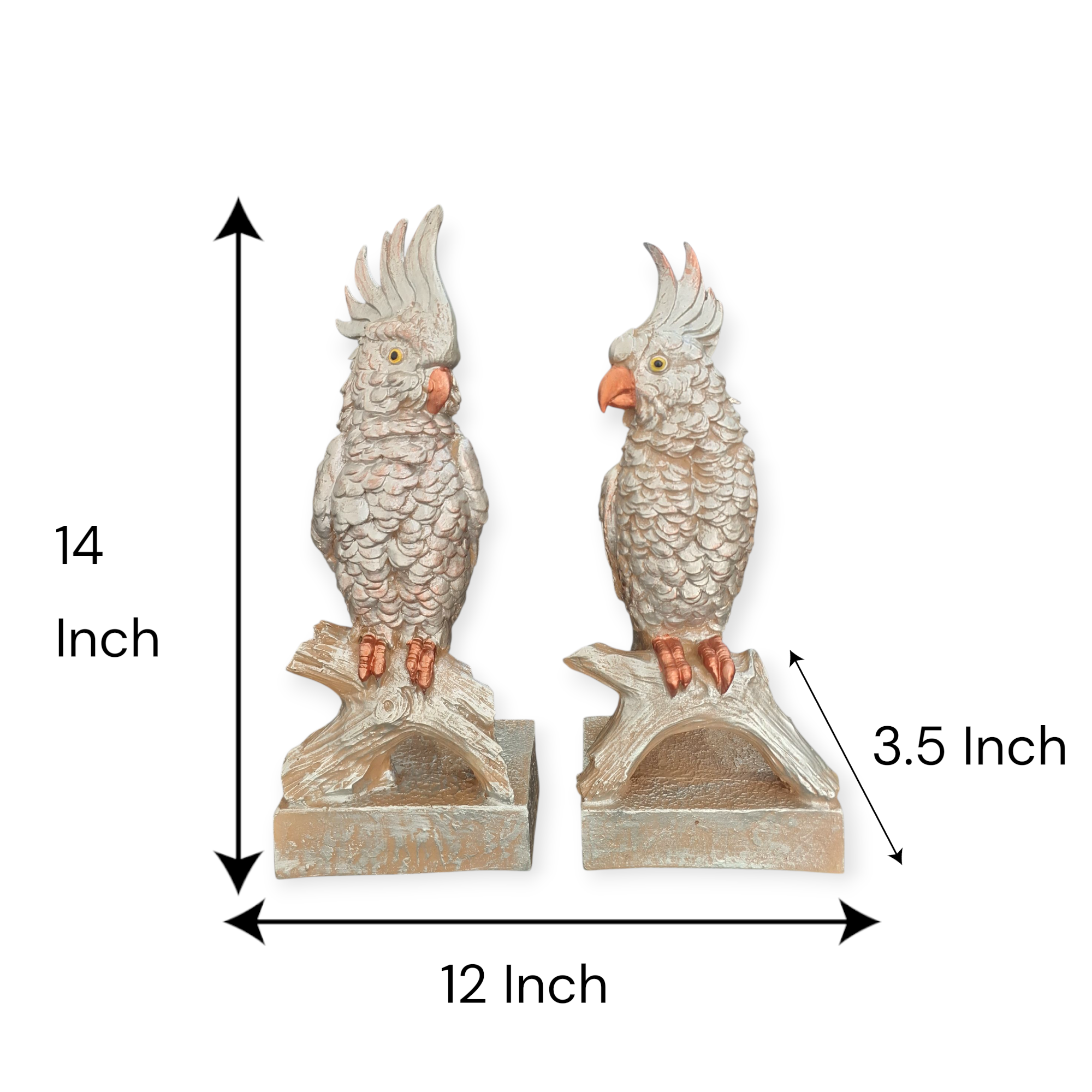Parrot Set of 2